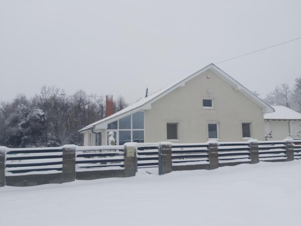 Vila Boba Bor Zlot Экстерьер фото